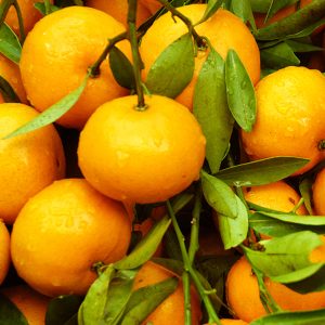 Mandarin Orange